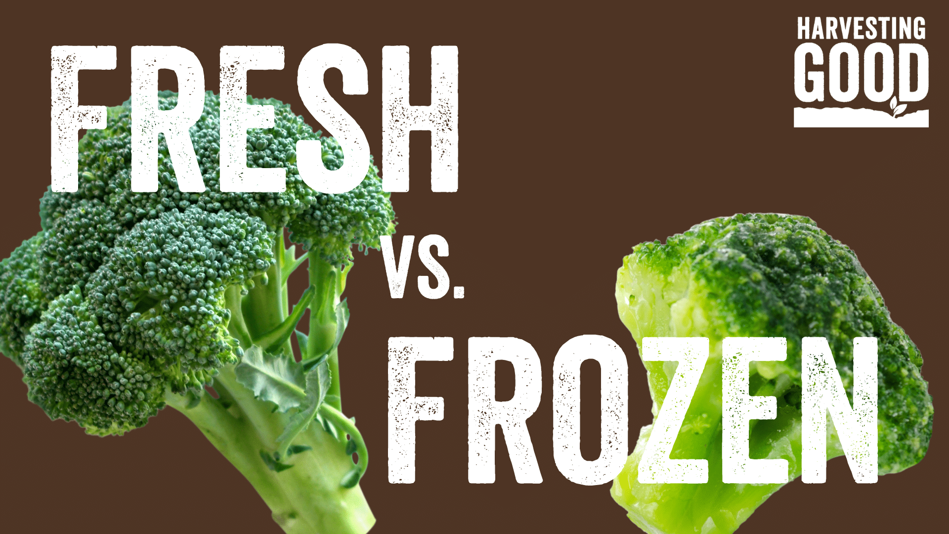 Fresh vs. Frozen Broccoli Choice: Which is right for you?