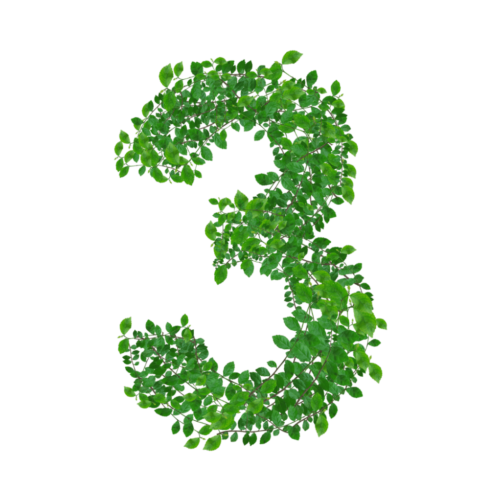 The number 3 made from vines and leaves.