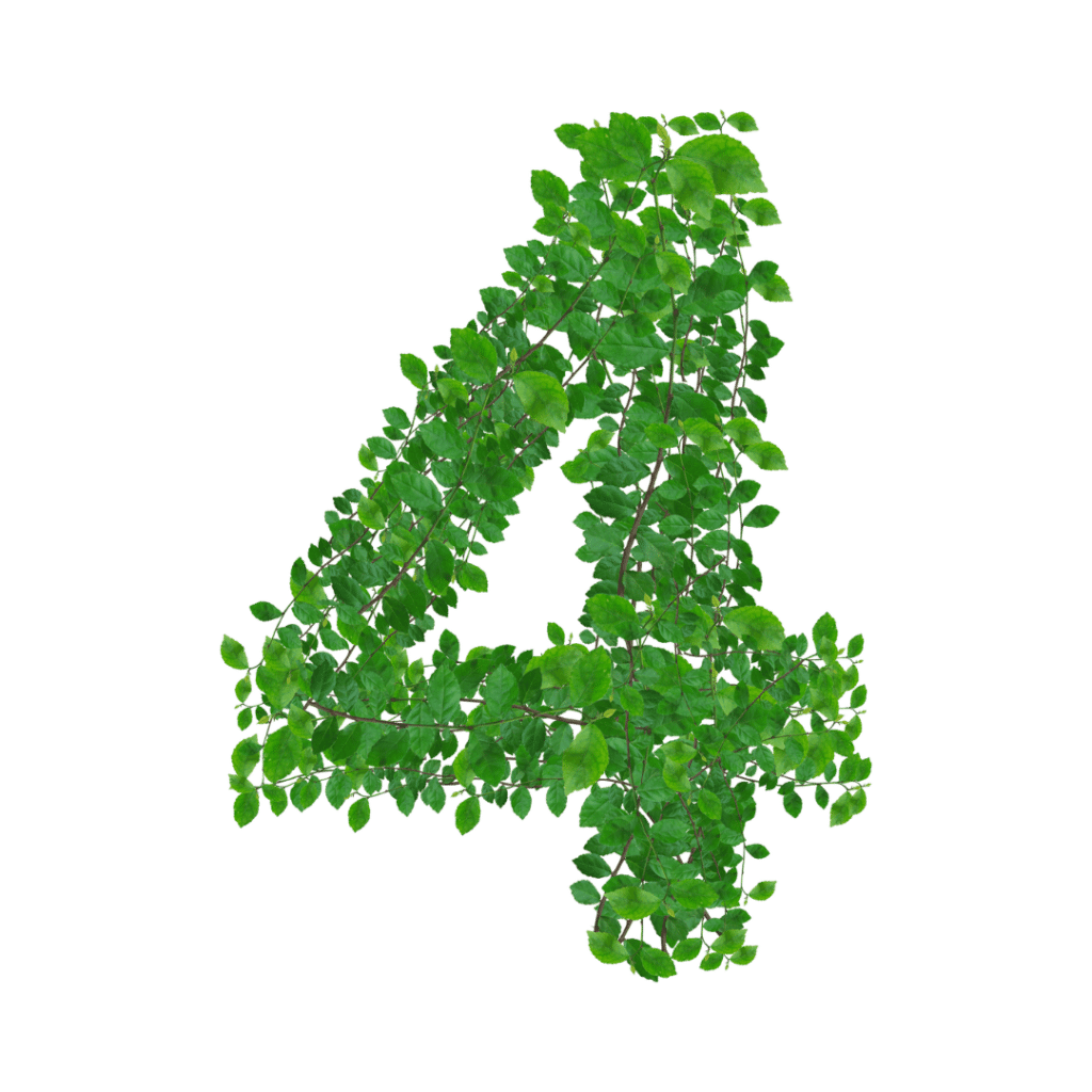 The number four made from vines and leaves.