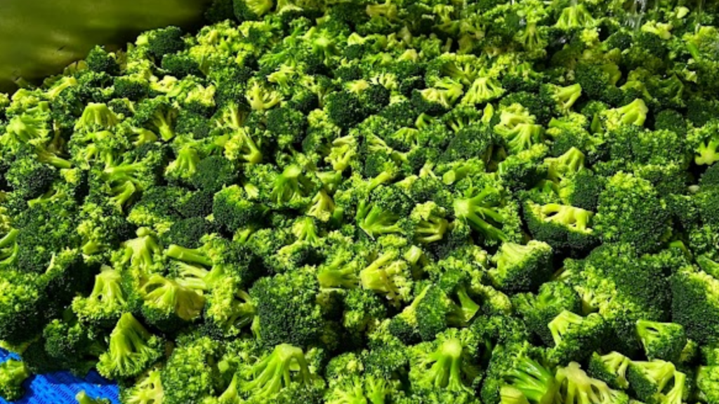 A bunch of bright green broccoli florets.