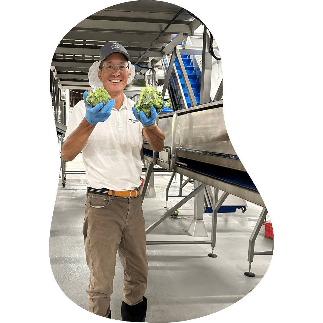 Matt Chin in WR Allen processing facility with broccoli crowns